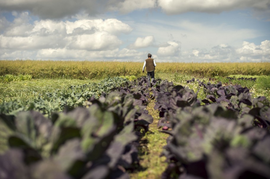 Olaf Schnelle im Garten