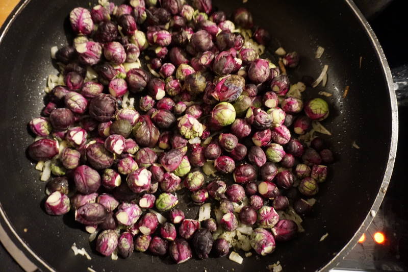 Roter Rosenkohl
