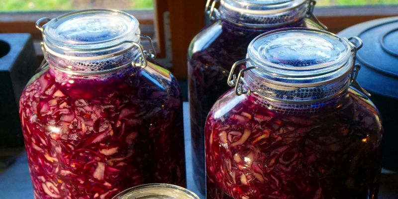 Rotkohl, fermentiert