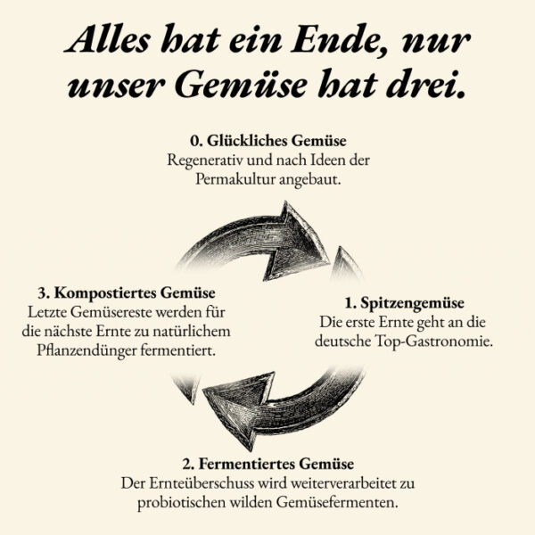 Goldenes Sauerkraut – Bild 7