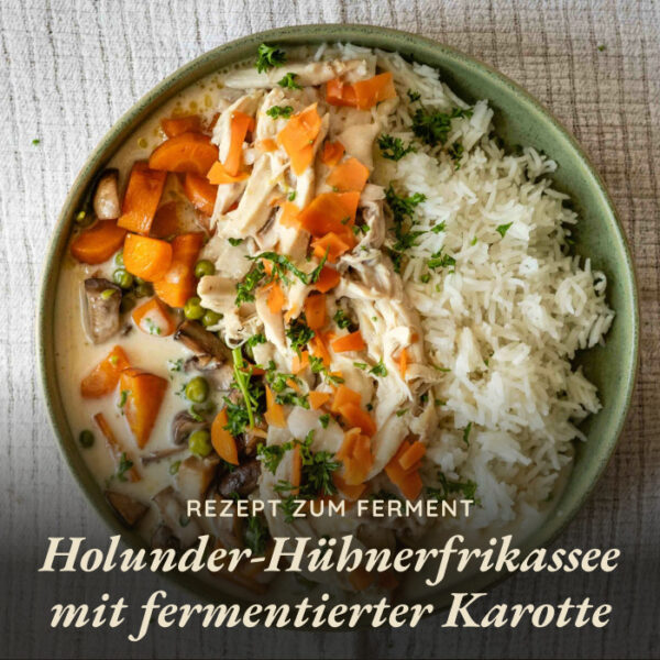 Holunderkarotte – Bild 4