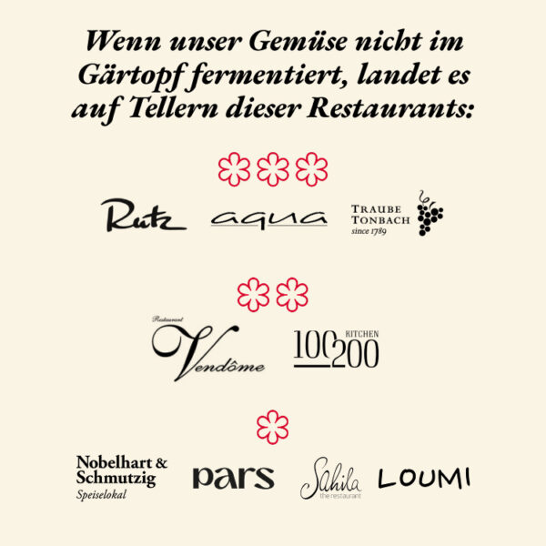 Goldenes Sauerkraut – Bild 6