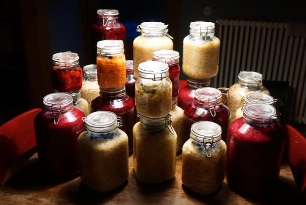 Fermentations-Workshop