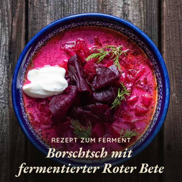Rote Fenchelbete – Bild 2