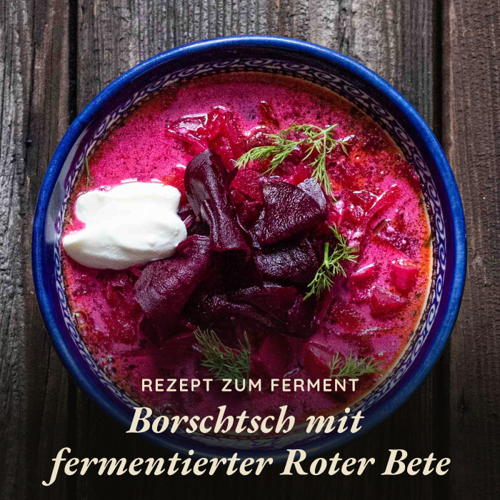 MEINE 7 Gründe für die Gemüse Fermentation 6