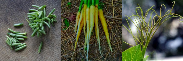 Gästekochbuch - veröffentlichen Sie Ihre Rezepte 1