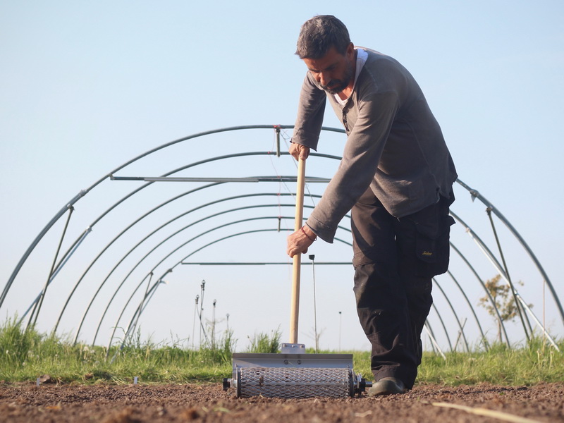 Gemüse Fermentieren macht die Gartenbeete leer