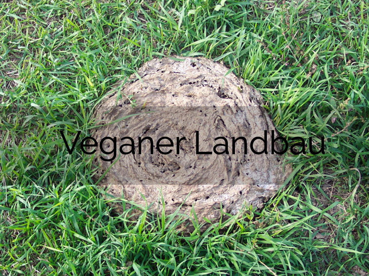 Landwirtschaft und Veganismus 1