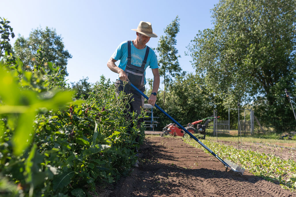 Schnelles Grünzeug Praktikum, fermentiertes Gemüse, frisches Gemüse, Permakultur, Regenerative Landwirtschaft