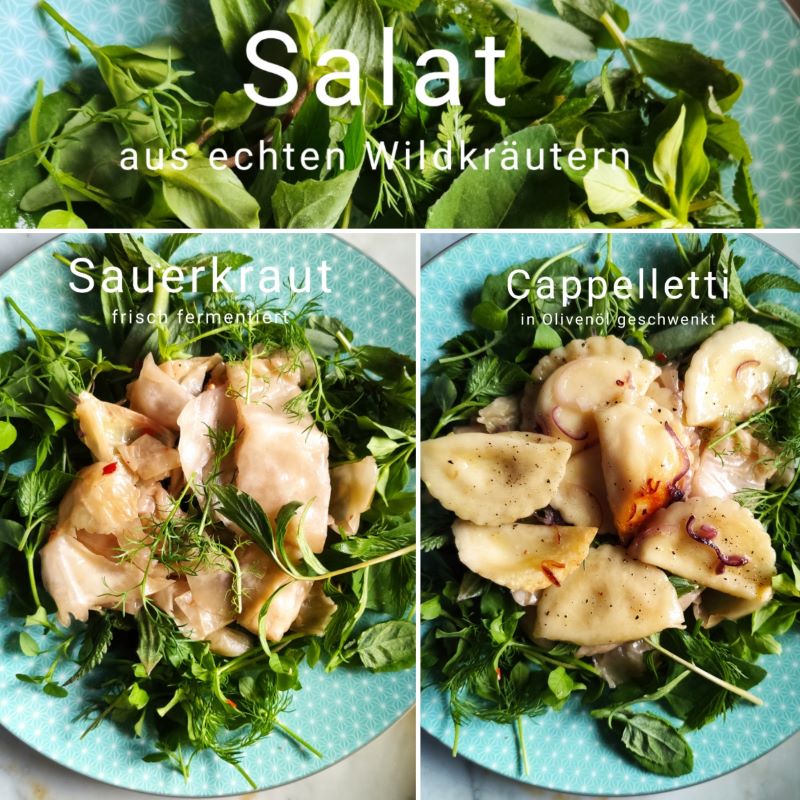 Wildkräuter - Fermentiertes - Pasta