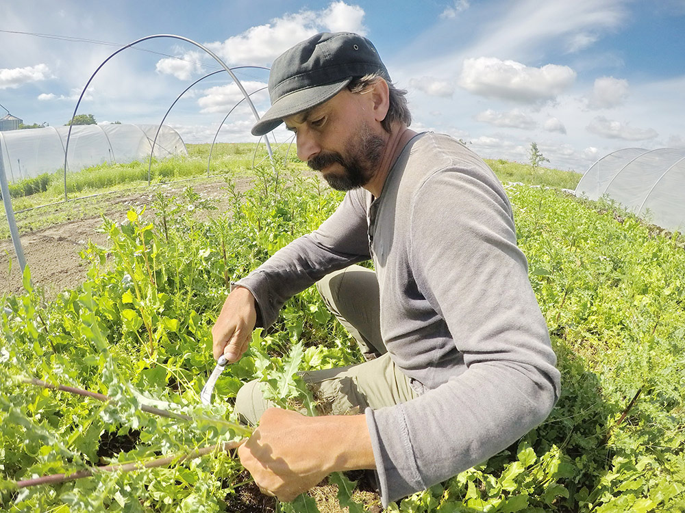 Vortrag in Ratzeburg "Gärtnern ist das neue Weltretten" 1