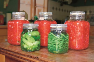 Faszination Fermentieren - Tageskurs in der Schweiz 3