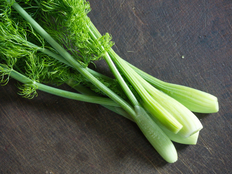 Knollenfenchel_ohne_Wurzel_800x600