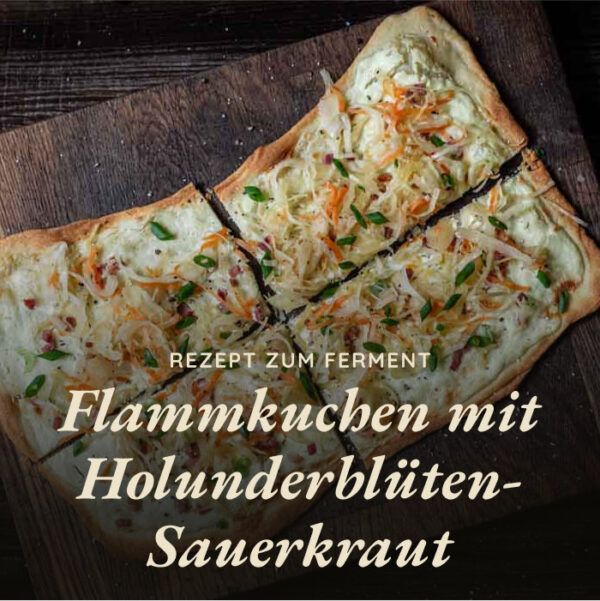 Holunderkraut – Bild 2