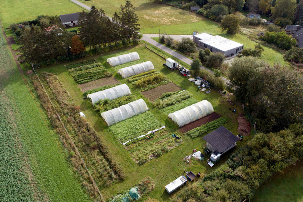 Schnelles Grünzeug - Betriebsnachfolge - Foto von Martin Egbert