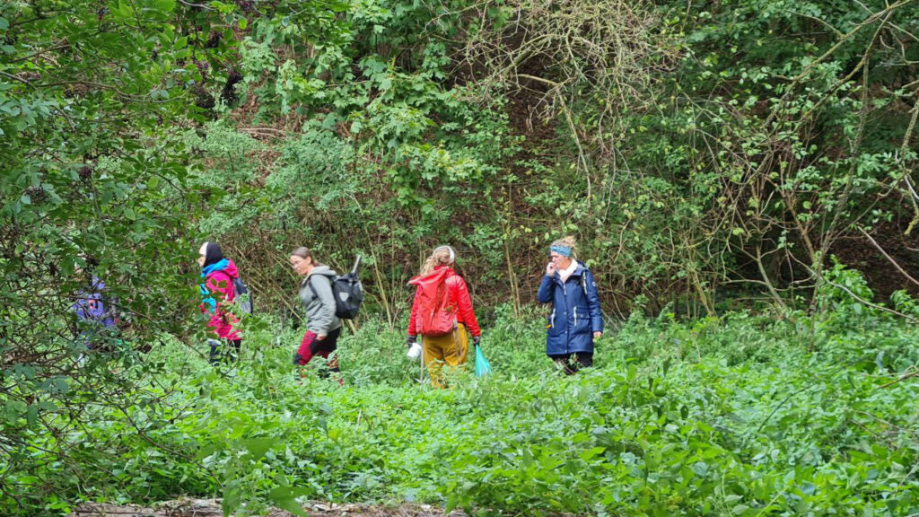 Wildkräuterwanderung