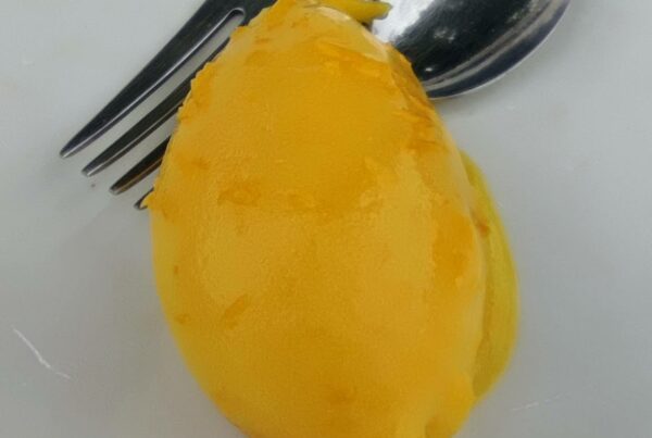 Pflaumensorbet