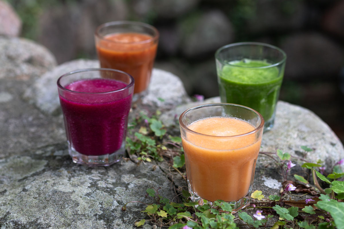 Fermente Smoothies 1