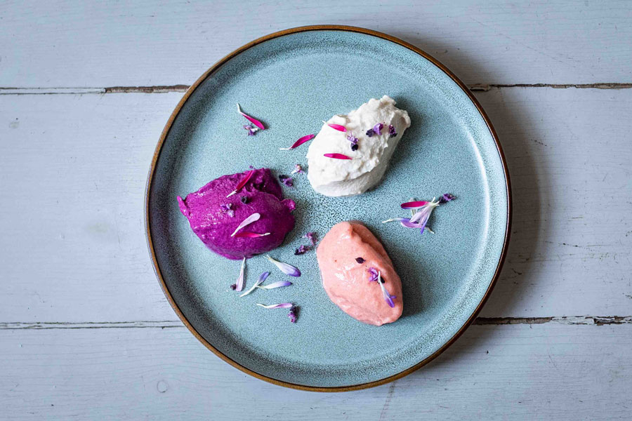Fermente Sorbets 1