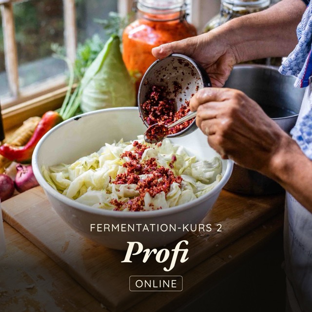 schnelles-schulstube-%c2%b7-11-medium