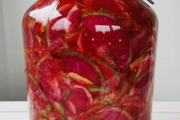 Wassermelonen Rettich Kimchi fermentiert Glas